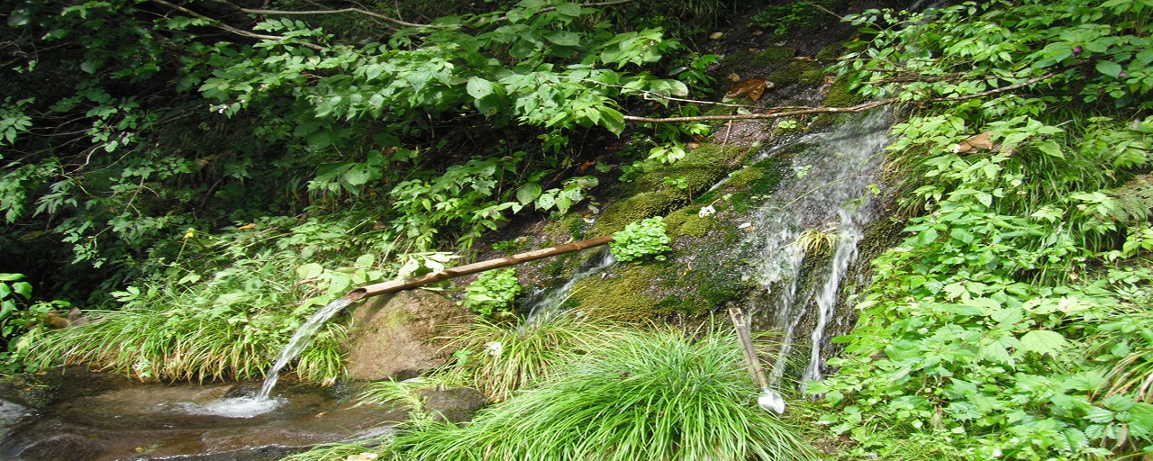 茶立ての清水風景写真